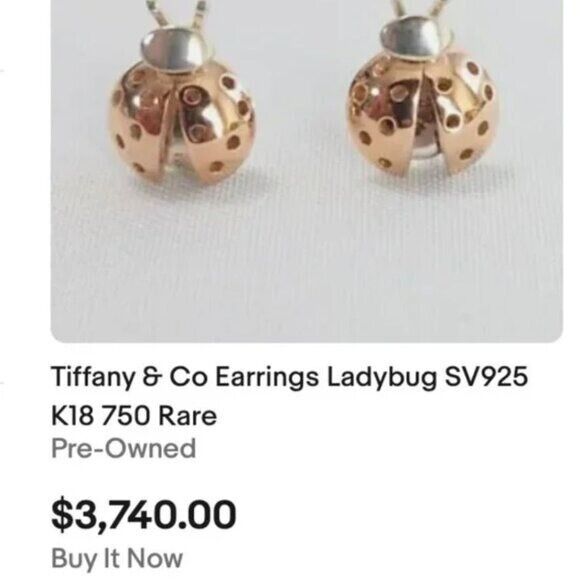 RARE Tiffany & Co. Love Bug Ladybug Earrings in 18k Rose Gold and Silver