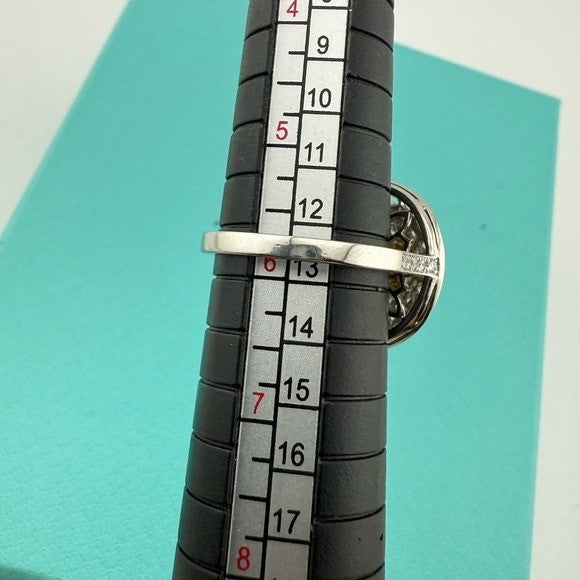 45407663