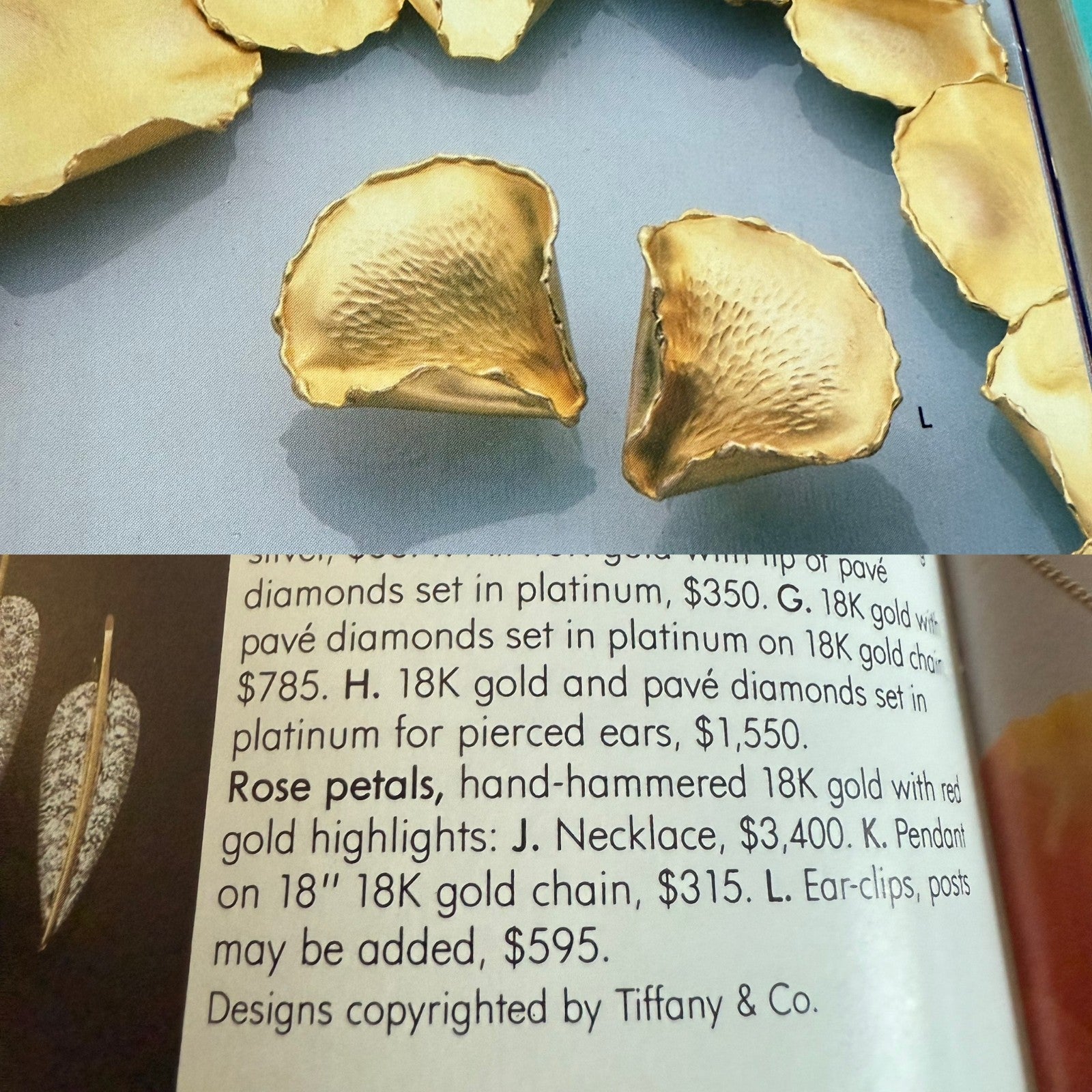 45643448