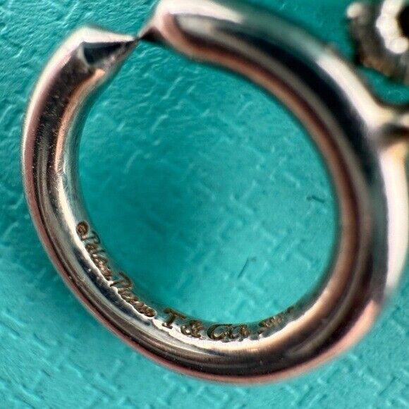 RARE Tiffany & Co. 10mm Amazonite Gemstone Necklace 18" Sterling Silver